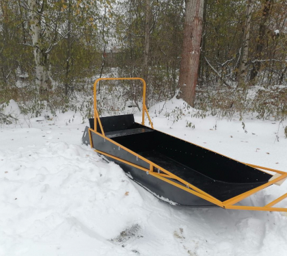 Сани 